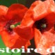 histoire du français