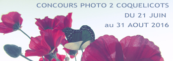 photo_pagewebpub
