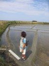 les marais salants de Guérande