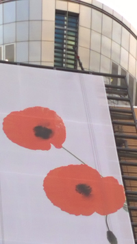 2 Coquelicots
