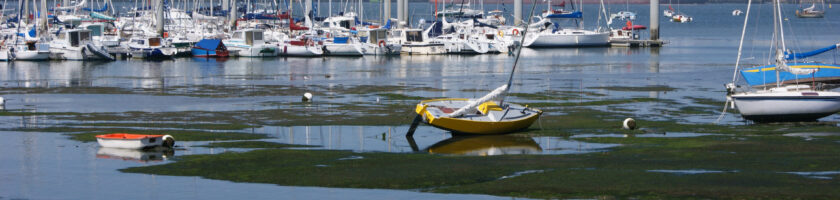 Marée basse à Locmiquelic